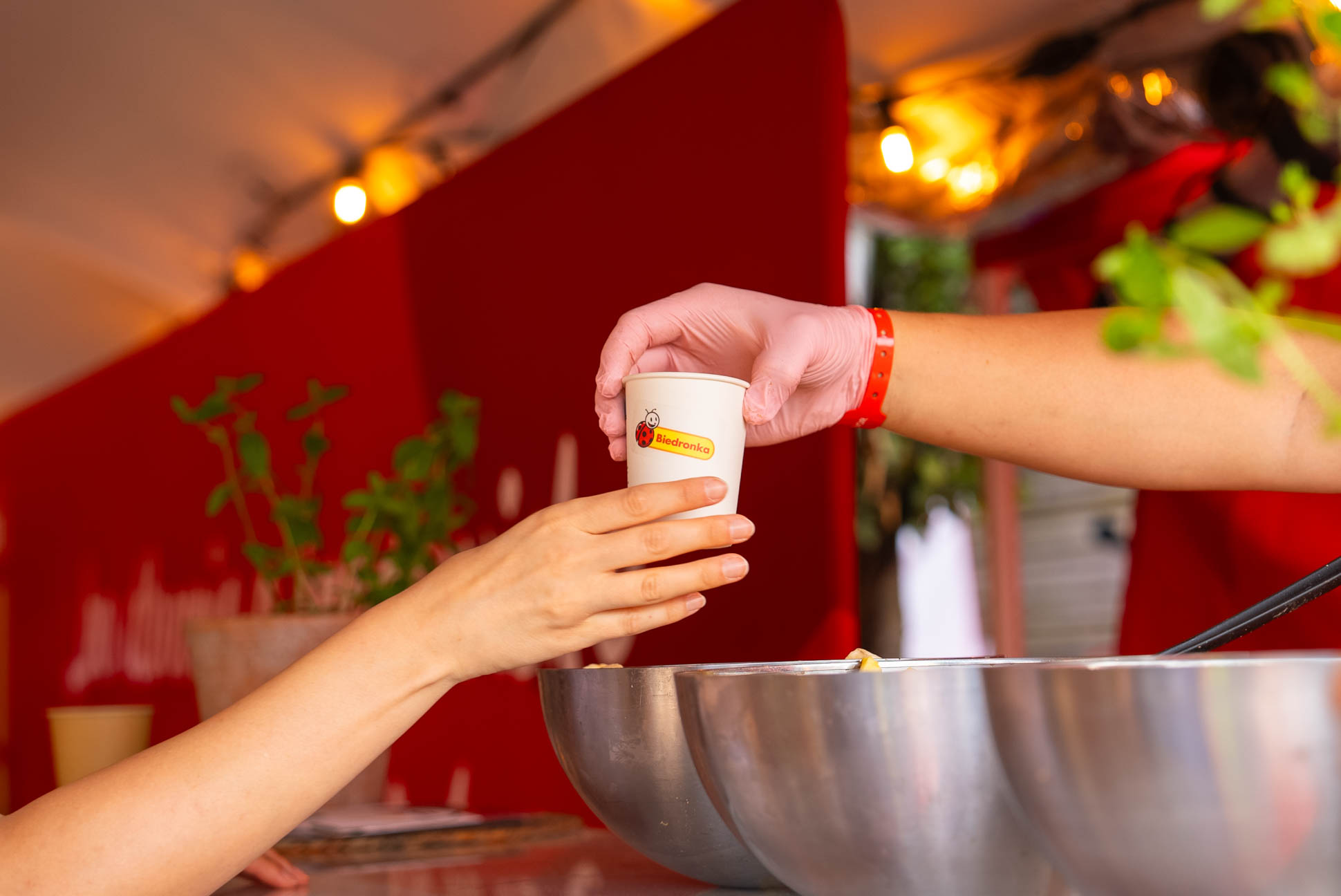 Olsztyn Green Festival