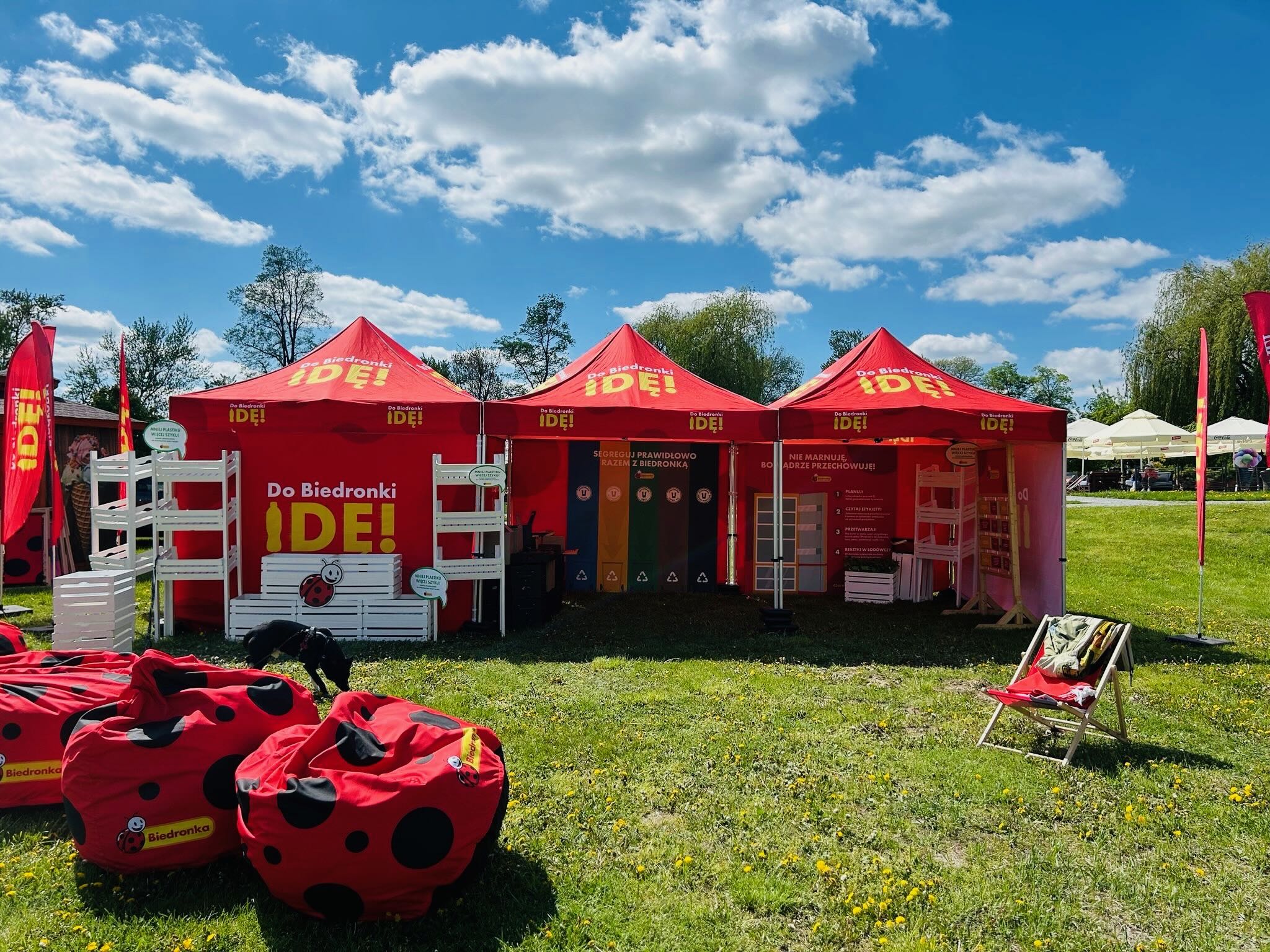 biedronka piknik