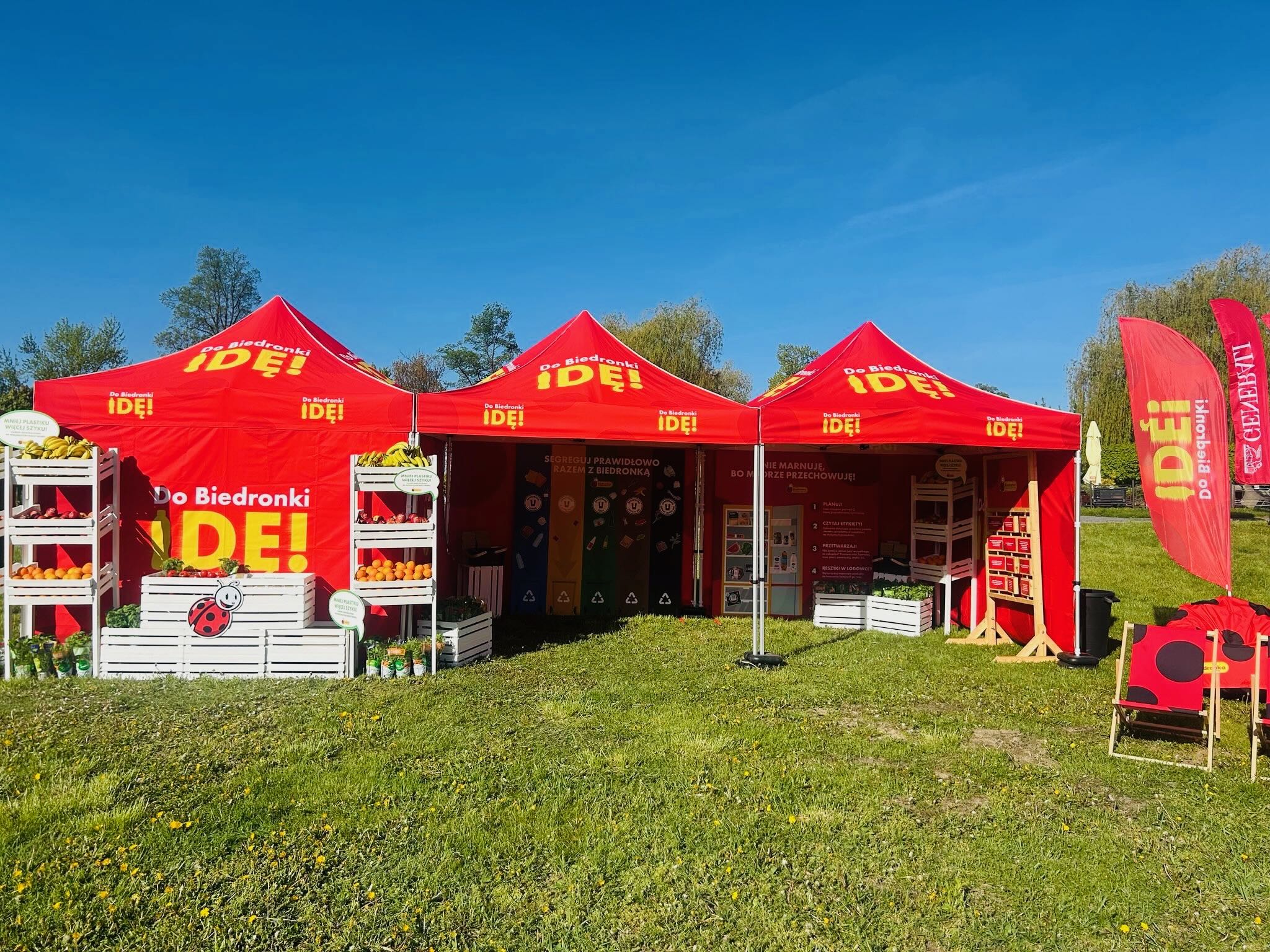biedronka piknik