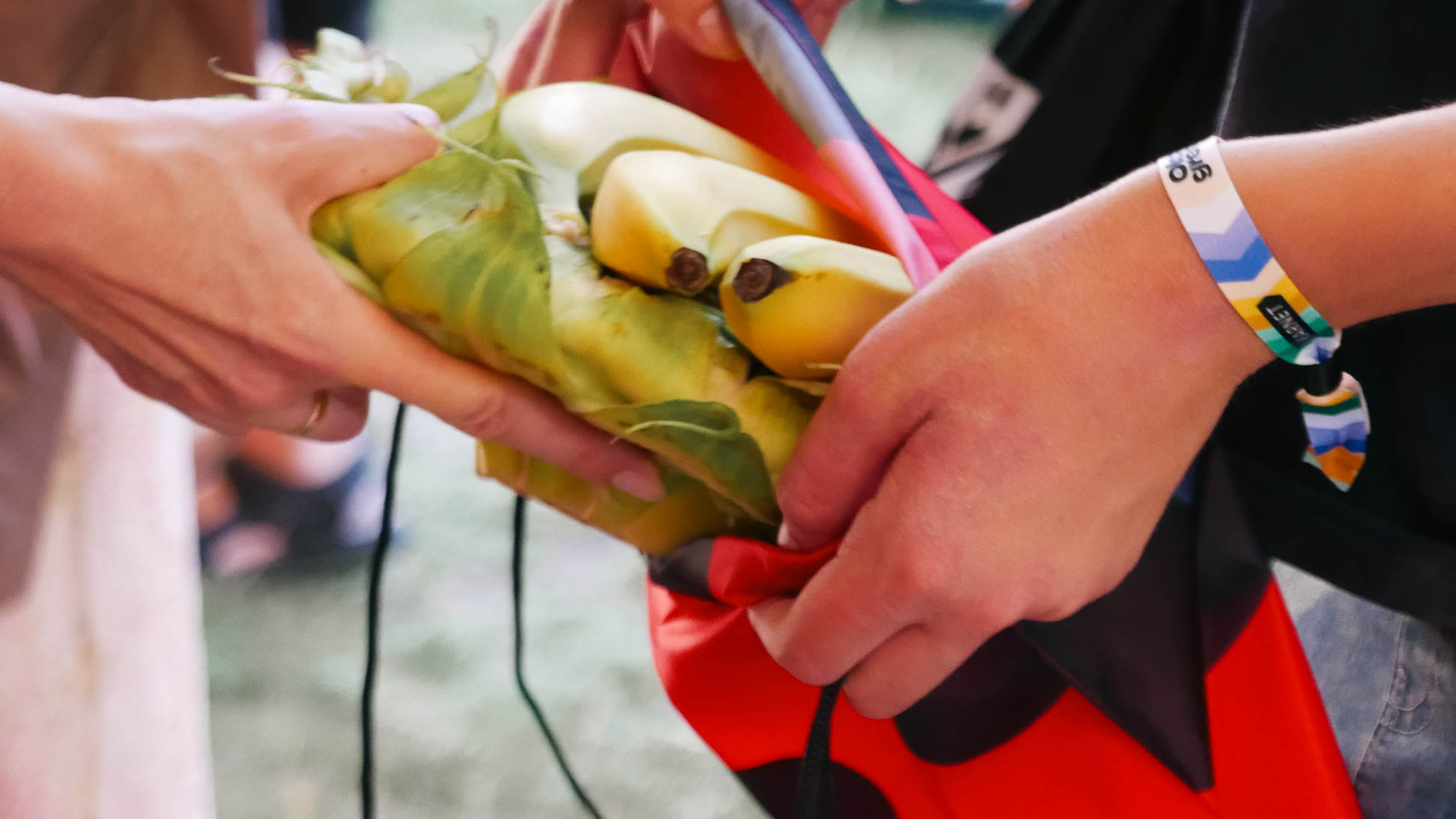 Olsztyn Green Festival Strefa Biedronki